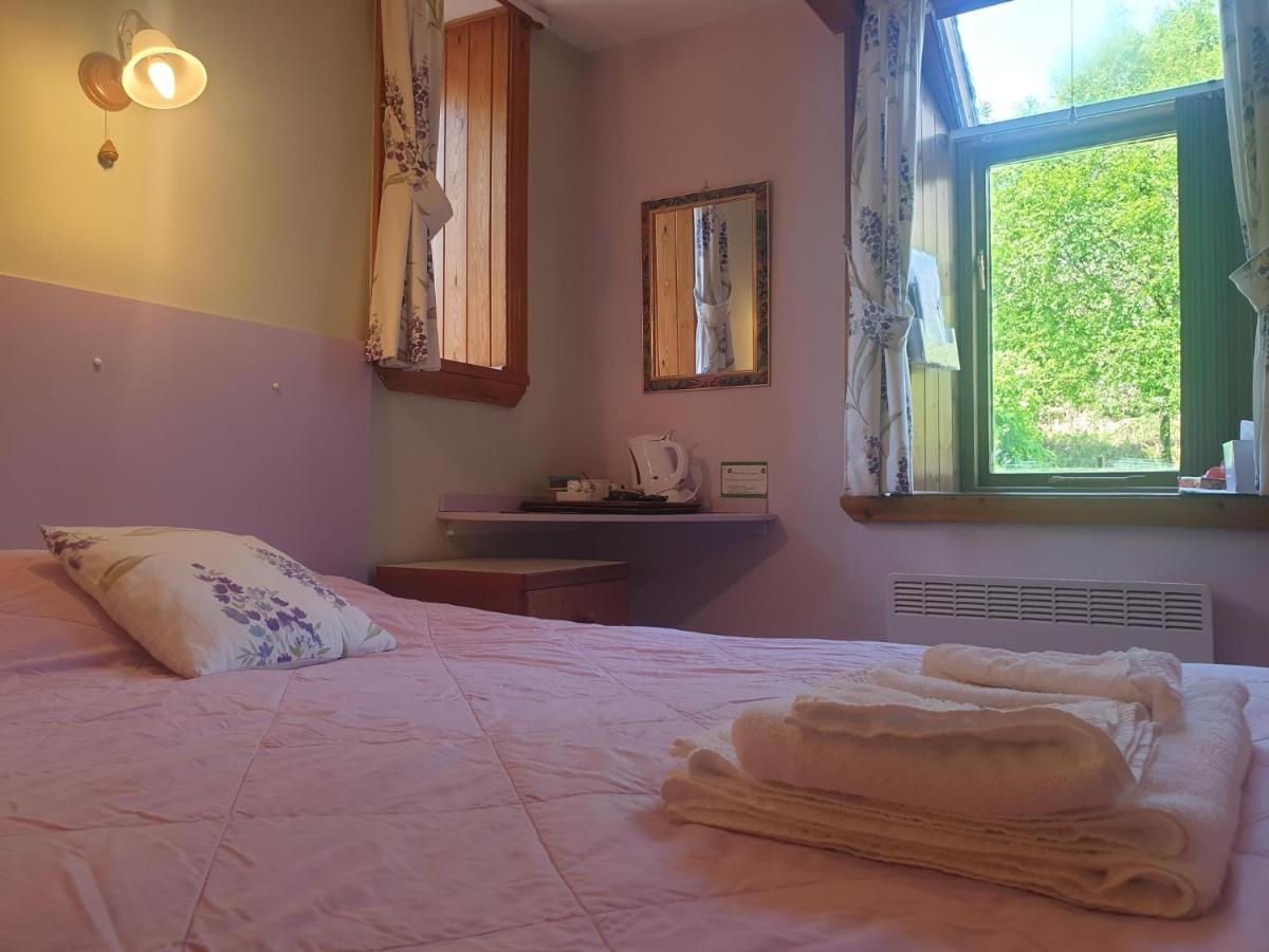 Bryn Elltyd Eco House Guest House Blaenau Ffestiniog ภายนอก รูปภาพ