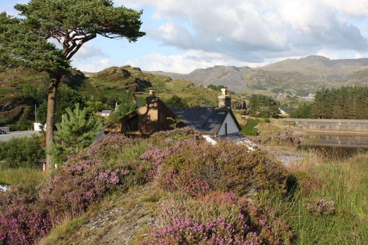 Bryn Elltyd Eco House Guest House Blaenau Ffestiniog ภายนอก รูปภาพ