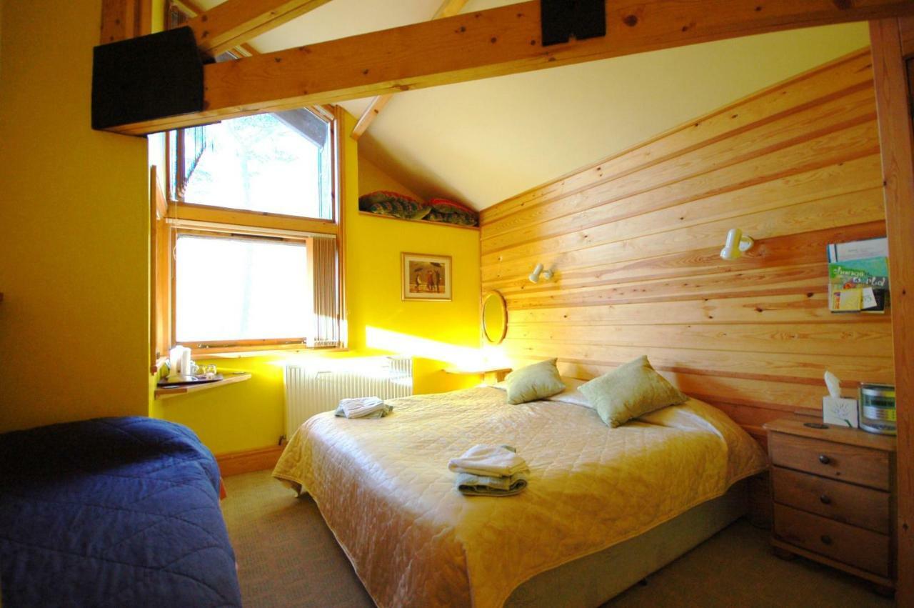 Bryn Elltyd Eco House Guest House Blaenau Ffestiniog ภายนอก รูปภาพ